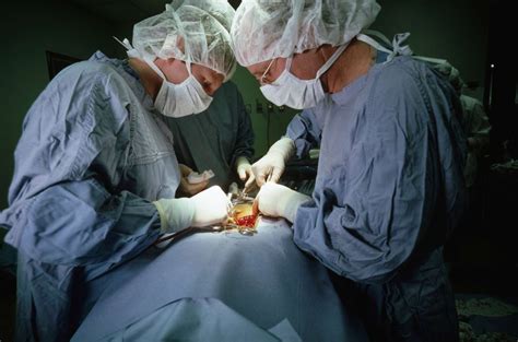 Your <b>surgeon</b> makes an incision in the palm of the hand over the carpal tunnel and <b>cuts</b> through the ligament to free the <b>nerve</b>. . What happens if a surgeon cuts a nerve